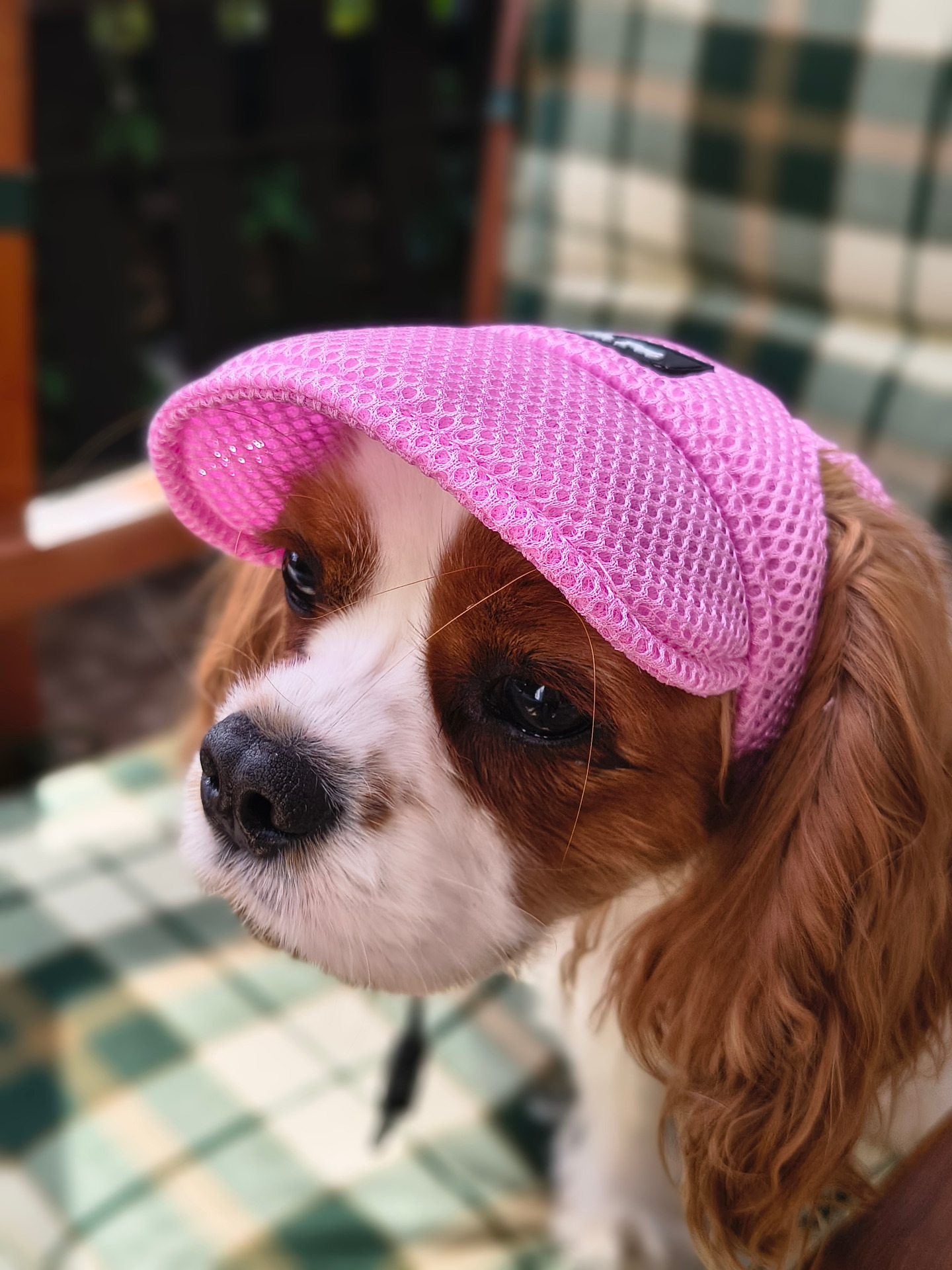 Elsie Cherry z Malostranské zahrady